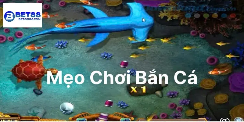 Mẹo chơi bắn cá